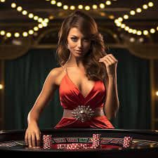 7bet55