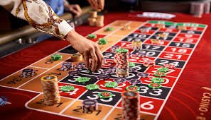 7bet55